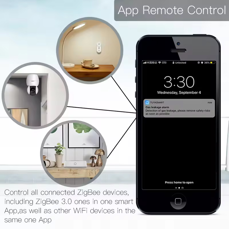 Moes Tuya ZigBee 3.0 Smart Gat - огляд і ціна Smart Home Market
