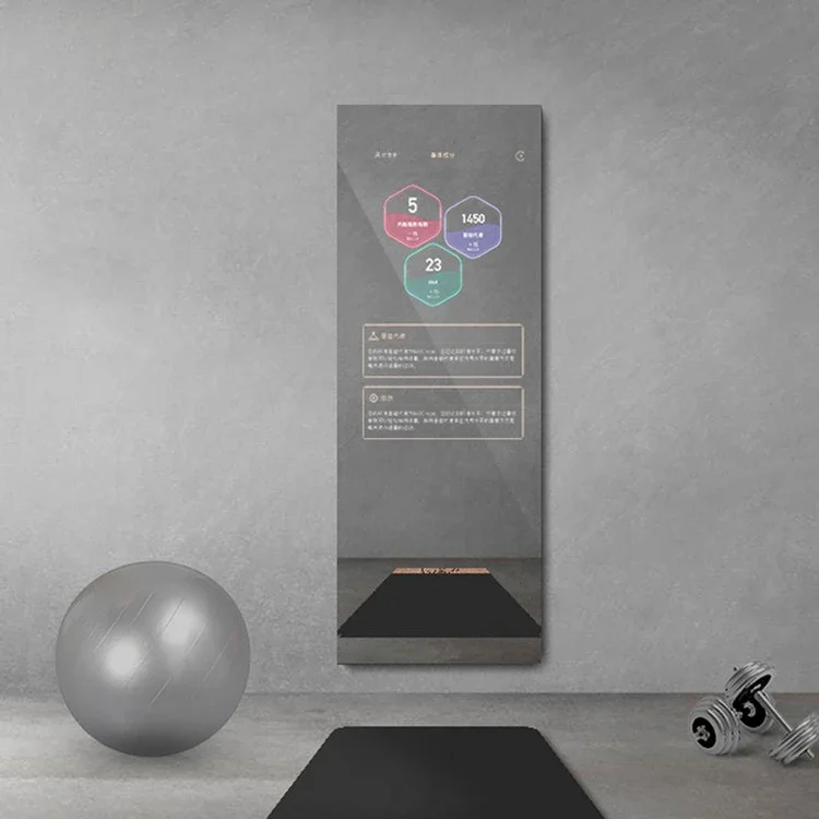 Metafit Tonal Home Glass Wall  - огляд і ціна Smart Home Gym Mirror